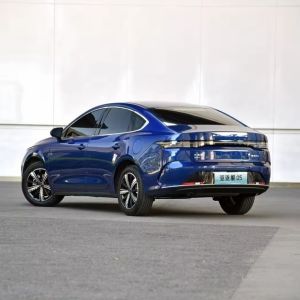 High Speed Electric Petrol Fuel Car Vehicles with Lithium Iron Phosphate Battery