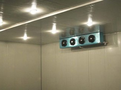 Quality 2.0mm Checker Plate Cold Storage Chiller Recessed curved corner meat cold room wholesale