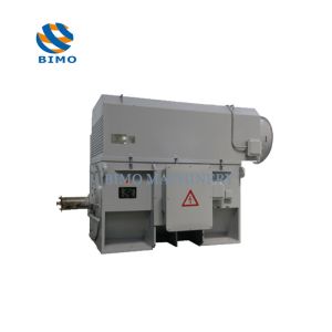 High Voltage 6kv 10kv Three Phase Asynchronous Electric Motor YKK YKS Y YR YRKK