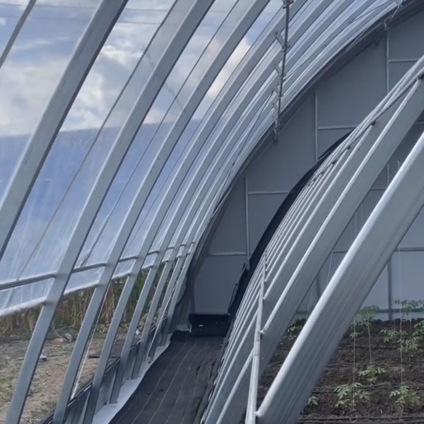 Hydroponics Vegetable Sunlight Greenhouse