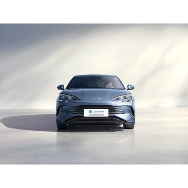 Quality Openable Panoramic Sunroof BYD EV Car with BRC Certification and 110Ps Electric Motor wholesale