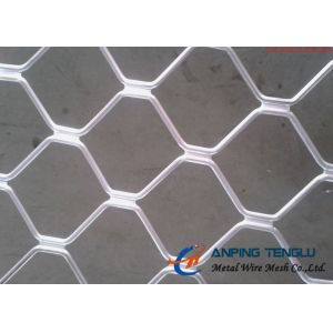Beautiful Grid Mesh For Protection Firm Structure And Corrosion Resistance