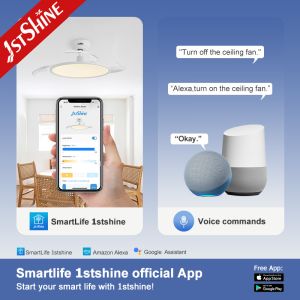 Eye Protection 42" LED Ceiling Fan with Hidden Blades and Metal Acrylic Material