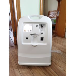95.6% 10L portable Oxygen Generator Guangdong Medical Oxygen Concentrator