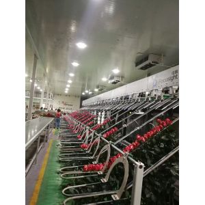 Flower Detection Vision Inspection Equipment Fully Automatic