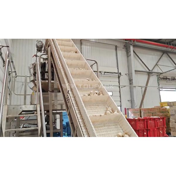 OEM Automatic Weighing Machine Pouch Bean Sprout Coriander Potato Garlic Baby Carrot Packing Machine