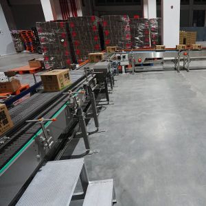 Intelligent Robot Palletizer Automatic Packing Cartons Loading Electric