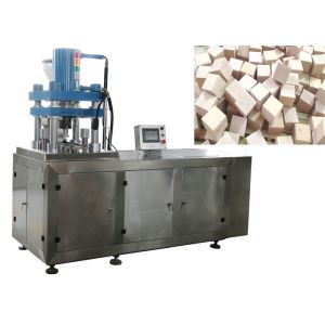 Stepless Adjustment Powder Press Machine