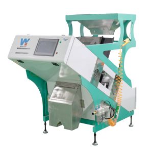 Mini Macadamia Cashew Nut Color Sorter With RGB Cameras
