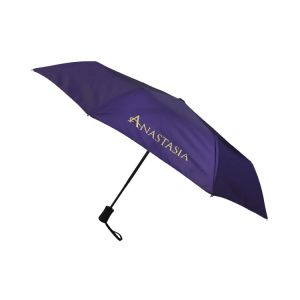 Auto Open Double Layer 21"*8K Windproof Travel Umbrella