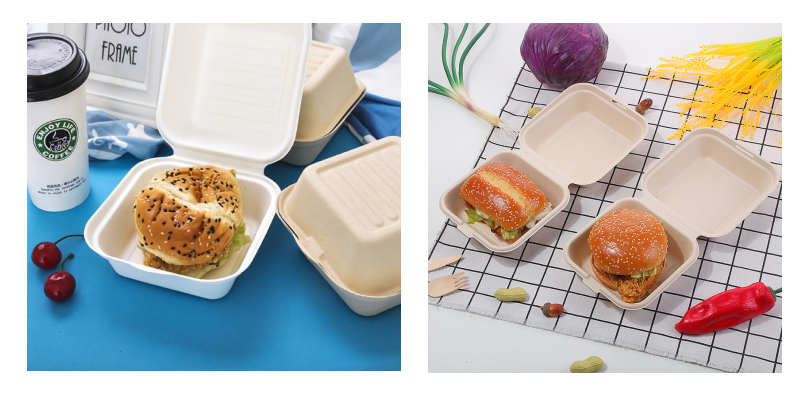 155mm Eco Friendly Square Bagasse Lunch Box Food Container For Restaurant