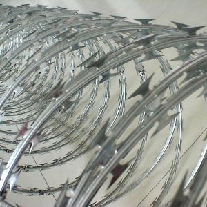 Made In China Superior Quality quality climbing barbed wire Hot -selling new