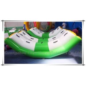 Cheap Hot Double Lines Inflatable Water Pillow, Water Totter (CY-M2039) for sale