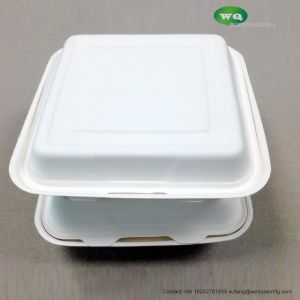 Green And Energy 8*8 And 9*9 Inch1-Compartment, Compostable Clamshell, Natural