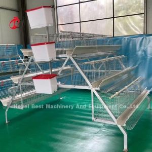 2.8mm-3.5mm Cage Wire Diameter Poultry Cage System Save Labor Increase Profits