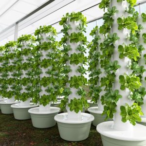 Durable Soilless Hydroponic System Vertical Custom 12 Layers Grow Tower For