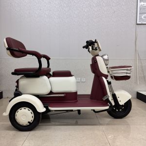 China 2 Seat Electric Passenger Tricycle For Adults With Storage Fashion New Model on sale