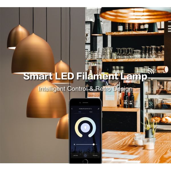 Amber Glass Body LED Light Bulb Alexa Voice Control, 5.5W A60 Smart Wi-Fi LED Filament Bulb