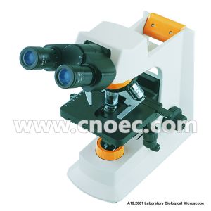 WF10x/18mm 40X 1000X Quadruple Nosepiece Learning Compound Optical Microscope