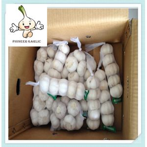 China China cheap and good quality 2016 new garlic China Pure White Frozen Garlic on sale