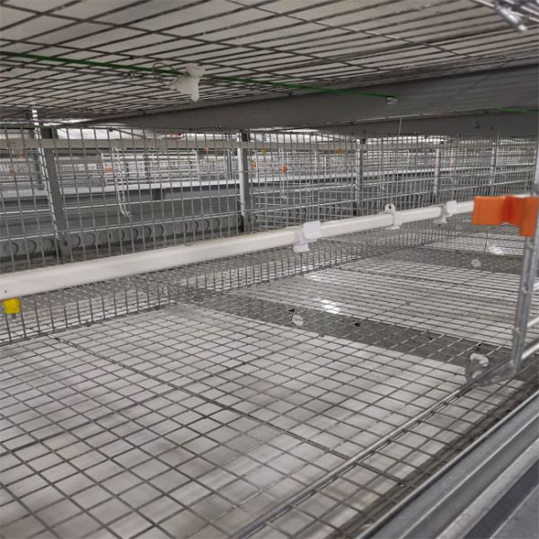 3/4 Tiers H Type Broiler Cage Chicken Farm Silver Color