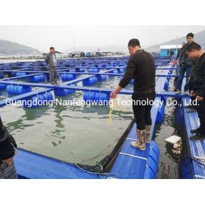 PE/Nylon Net Flexible Fish Farming HDPE Fish Farming Floating Pontoon in Lake
