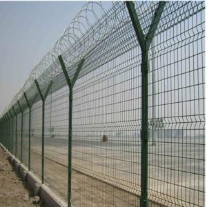 Square Posts 3mm 3d Wire Mesh Panels 50x200mm