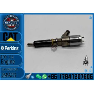 China Fuel Injector For  2645A753 2645A746 2645A749  282-0490 292-3780 306-9380 306-9390 engine C6.6 on sale