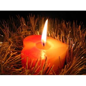 Cheap 30x30x2.5cm , 38x28x2.5cm Decoration LED Canvas Painting Lighted Wall ArtLCP-04 for sale