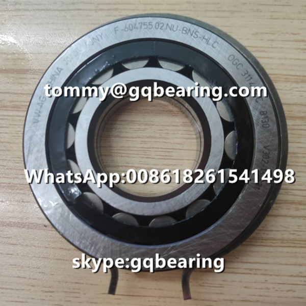 Quality VW AG INA F-604755.02 Cylindrical Roller Bearing 80Mm OD With Snap Ring wholesale