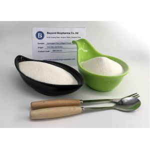 None GMO Fish Collagen Peptide Powder , Hydrolyzed Collagen Type 1 From Fish