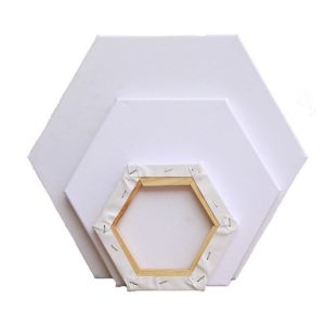 Hexagon Shape Stretched Canvas Board with 380+/-50 Thickness and Matte Finish