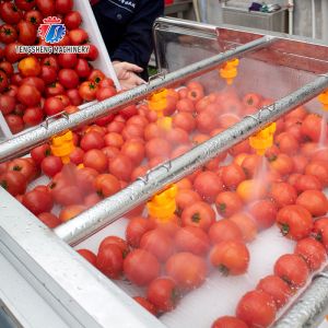 2.5KW Vegetable Parallel Roller Cleaning Machine High Pressure Spray Fruit