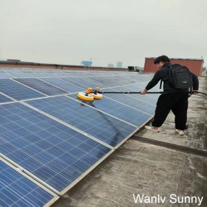 Effective Cleaning Tool Nylon Bristles Telescopic Water Fed Pole with Extendable