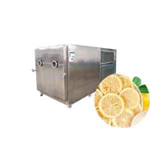 200KG Freeze Dry Fruit Machine Touch Screen And Air Cooling