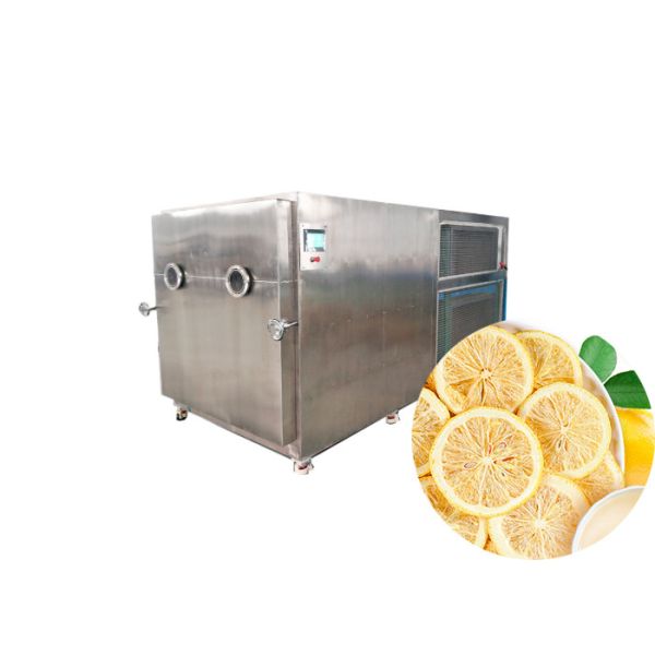 Quality 200KG Freeze Dry Fruit Machine Touch Screen And Air Cooling wholesale