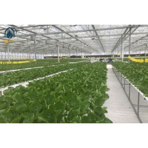 Cheap NFT Hydroponic PVC Growing Pipes System For High Yield Lettuce Cultivation for sale