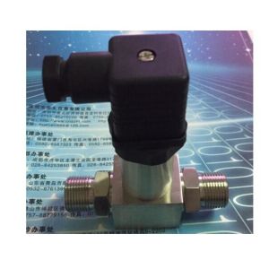 HPT-7 Oil-filled Differential Pressure Transmitters with 2 differential sensor