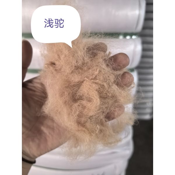 Quality Recycled Polyester Staple Fiber 3D 51mm UV Resistant wholesale