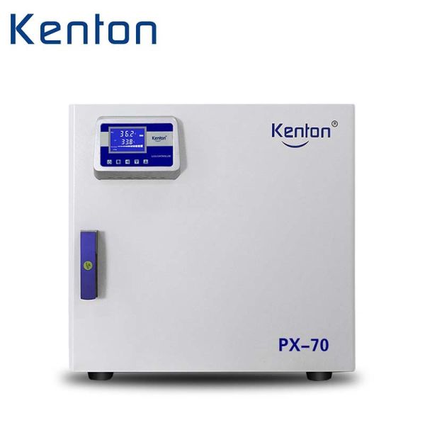 Quality High Precision Thermostatic Incubator Constant Temperature Lncubator For Laboratory wholesale