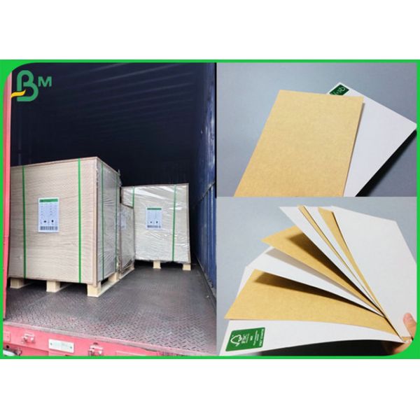250gr 325gr Food Compliance White Coated Back Side Kraft Paper For Making Lunch Box 
