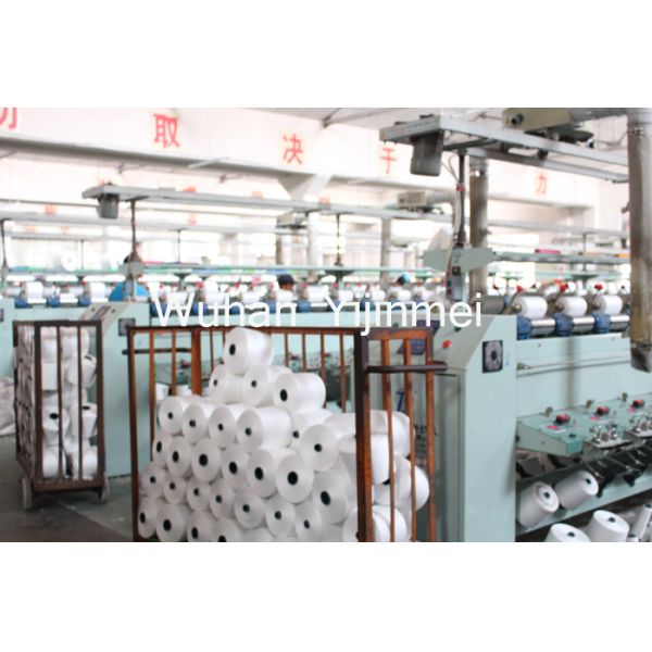 High Tenacity Knotless 60/3 Spun Polyester Yarn Z Twist Yarn