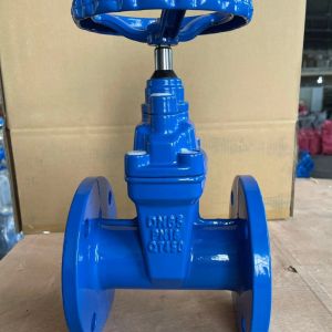 Customized Port Size Gate Valve Flanged Resilient Seated for Mining Applications