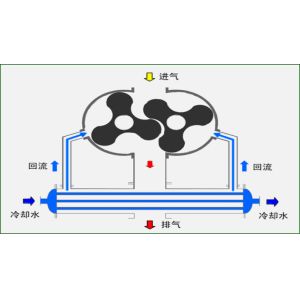Industrial Mechanical Booster Vacuum Pump Customized Color ZJQL-600