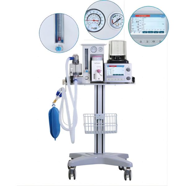 Quality DM6B Four Casters Veterinary Anesthesia Scavenger System 0-60L/Min wholesale