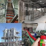 380V Fully Automatic Tomato Paste Processing Machine Water Saving For Factory