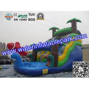 Bounce House Charming Inflatable Slide , Kids Inflatable Water Slides Pool