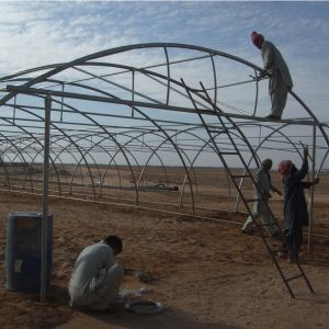 10m Width Tunnel Light Deprivation Greenhouse Single Layer With Galvanized Steel