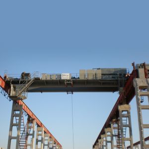 China Manufacturer 10 Ton Double Girder Electric Overhead Crane With Trolley
