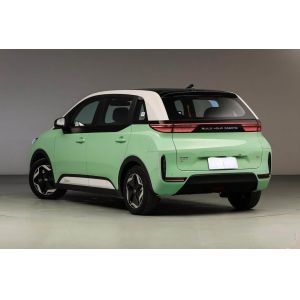 Hatchback Electric D1 BYD EV Car 418km LFP Battery